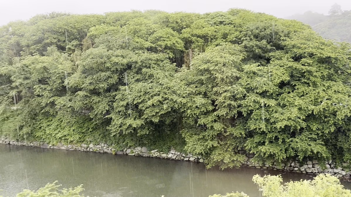 Hikone Castle Resort & Spa