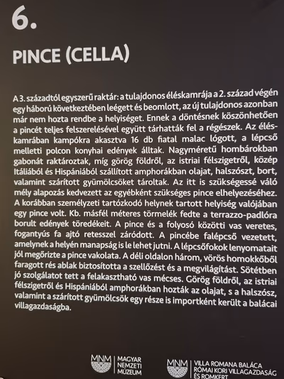 MNM KK MNM Villa Romana Baláca (római villagazdaság) — photo 13
