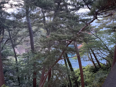 五浦観光ホテル 別館 大観荘 — photo 03