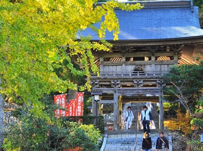 Momijigawa — photo 12