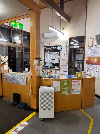 Toyotomi — photo 14