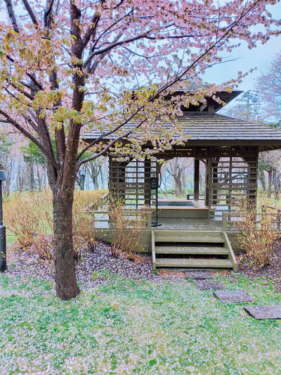 Lake Shikotsu Hot Spring — photo 15