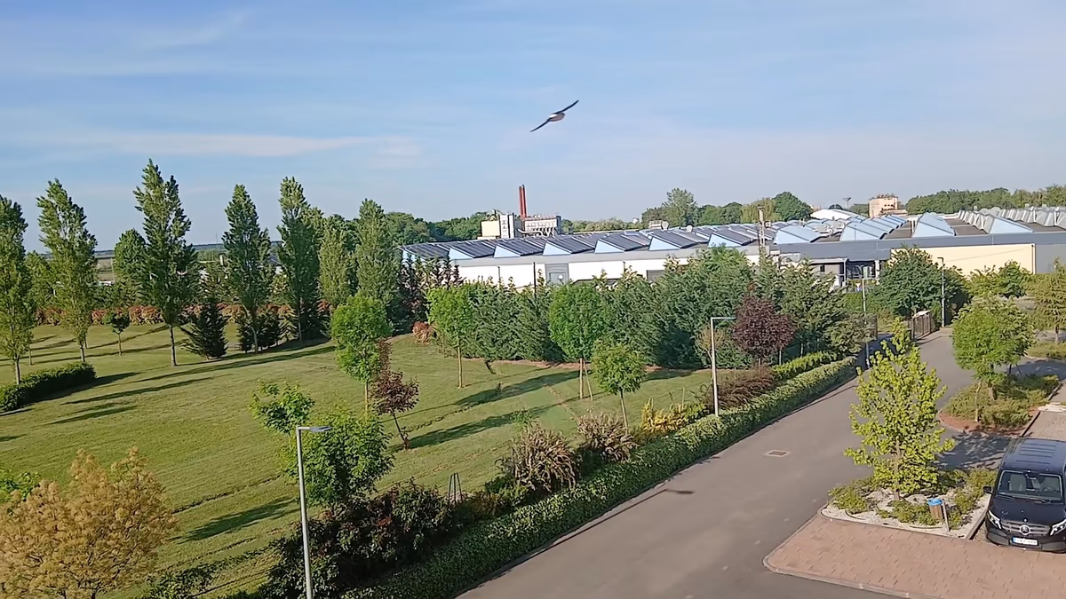 Mjus Resort & Thermal Park