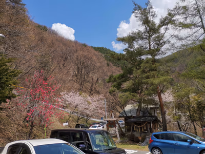 天然温泉 桧の湯 — photo 17