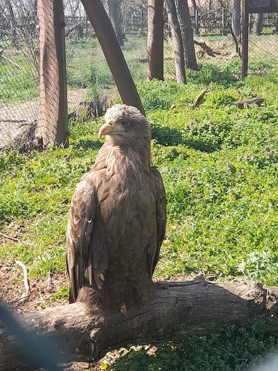 Hortobágy Wild Animal Park — photo 14