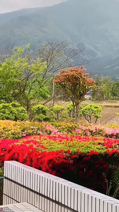 Sakurando Hot Spring — photo 04