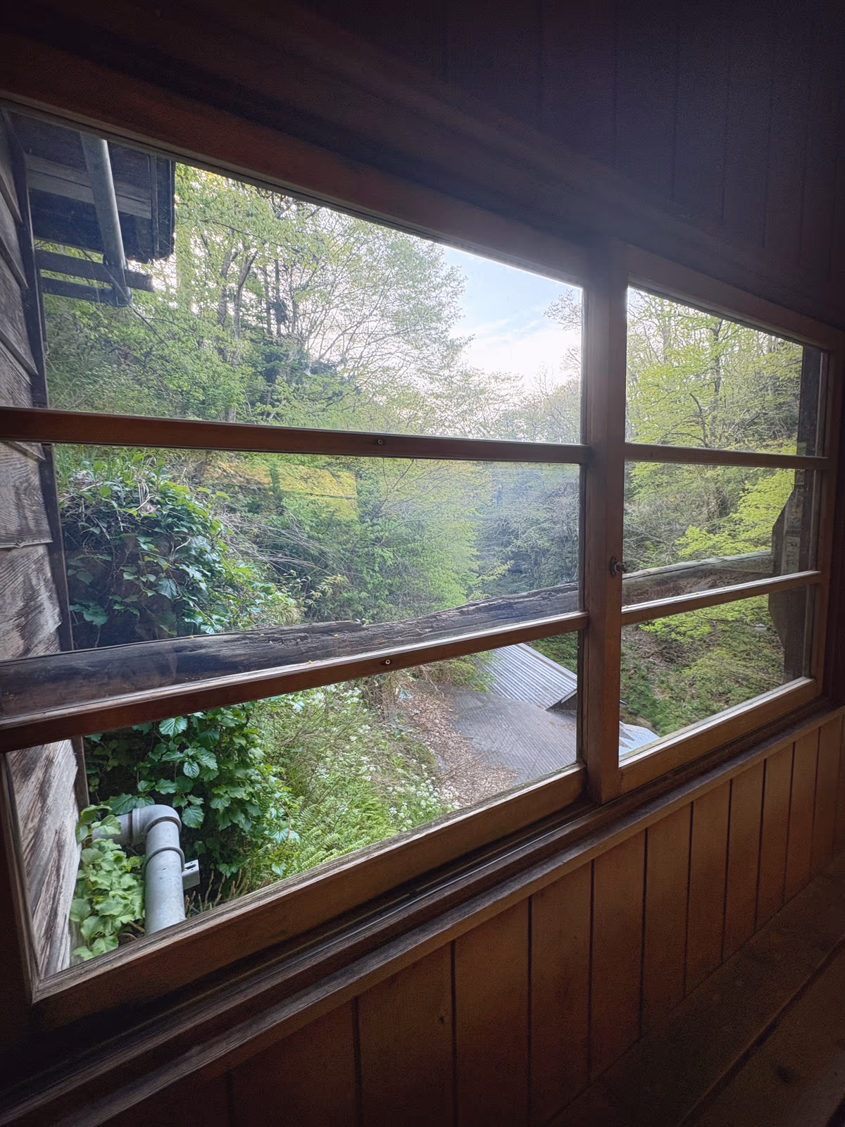 Oedo Onsen Monogatari Premium Sendai Sakunami
