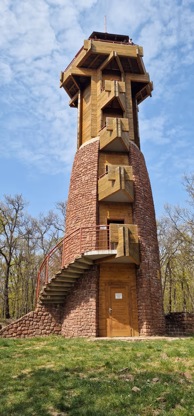 Fülöp — photo 12