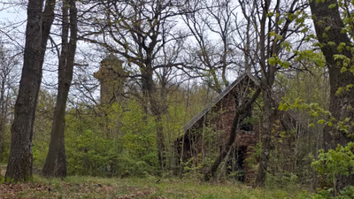 Fülöp — photo 18