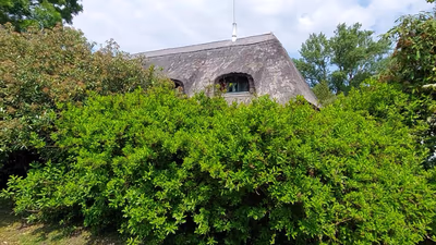 Club Dobogómajor — photo 03