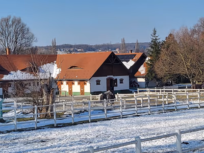 Club Dobogómajor — photo 24