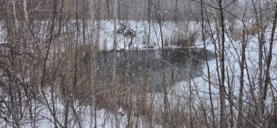 Centennial Park — photo 12