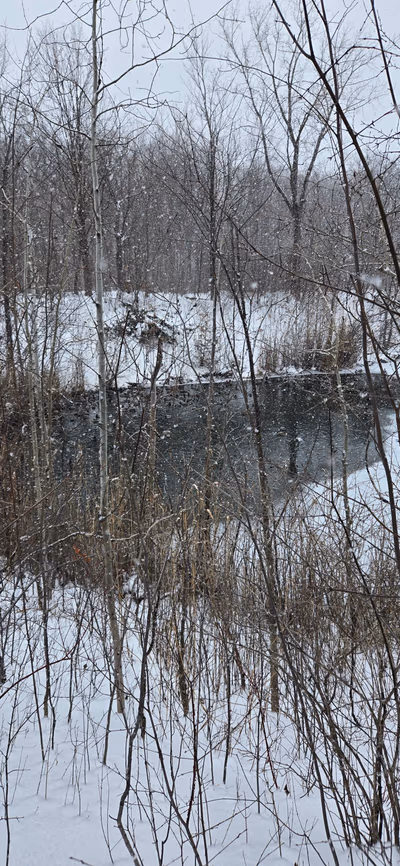 Centennial Park — photo 13