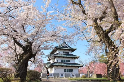 Sakura Onsen — photo 18