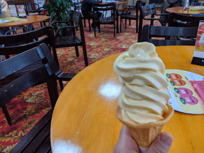 秋田温泉さとみ 温泉センター りらっくす — photo 02