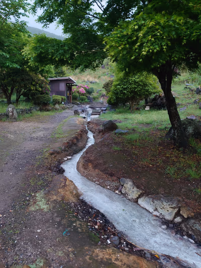 Tsurunoyu — photo 13