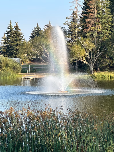 Bud Miller All Seasons Park — photo 19