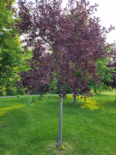 Bud Miller All Seasons Park — photo 30