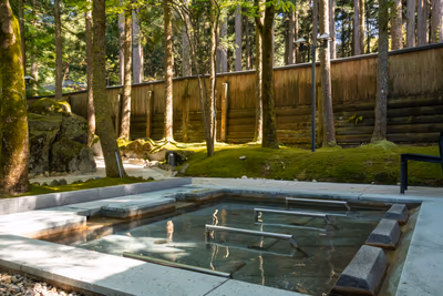 Hanahasu Onsen SOMAYAMA — photo 09