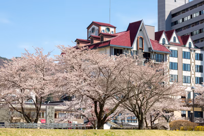 Kamisuwa Onsen Shinyu Hotel — photo 05