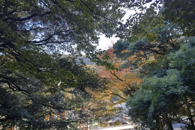 Kappa Tengoku — photo 22