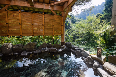 Beniya Mukayu Ryokan — photo 15