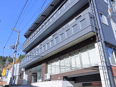 Tomiya — photo 20