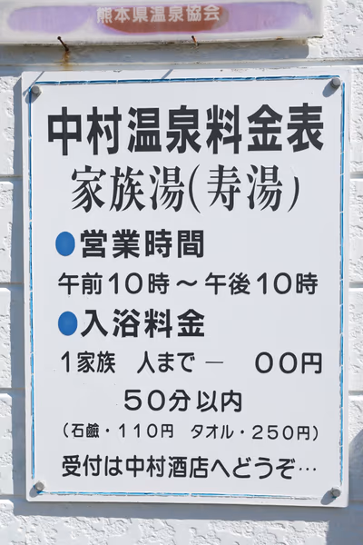 Nakamura Onsen. — photo 20