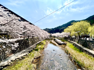 川床 — photo 32
