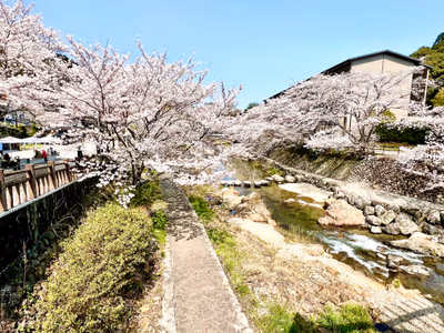 川床 — photo 33