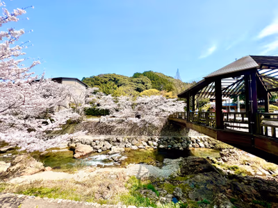 川床 — photo 34