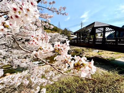 川床 — photo 35