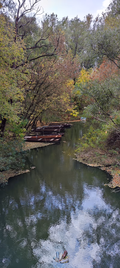 Tiszanagyfalu — photo 05
