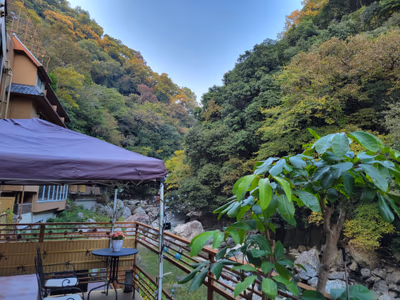 Sansuikan — photo 09