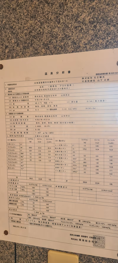 アヨロ温泉 (Ayoro Spa) — photo 15