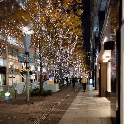 Asahi — photo 07