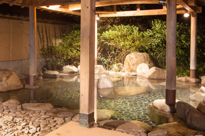 Karst Hot Spring — photo 10