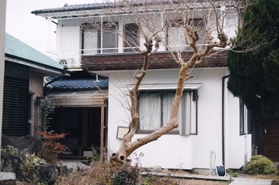 Kobayashi — photo 04