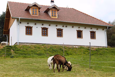 Gotthard Therme Hotel & Conference — photo 14
