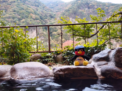 Gorokaku — photo 14