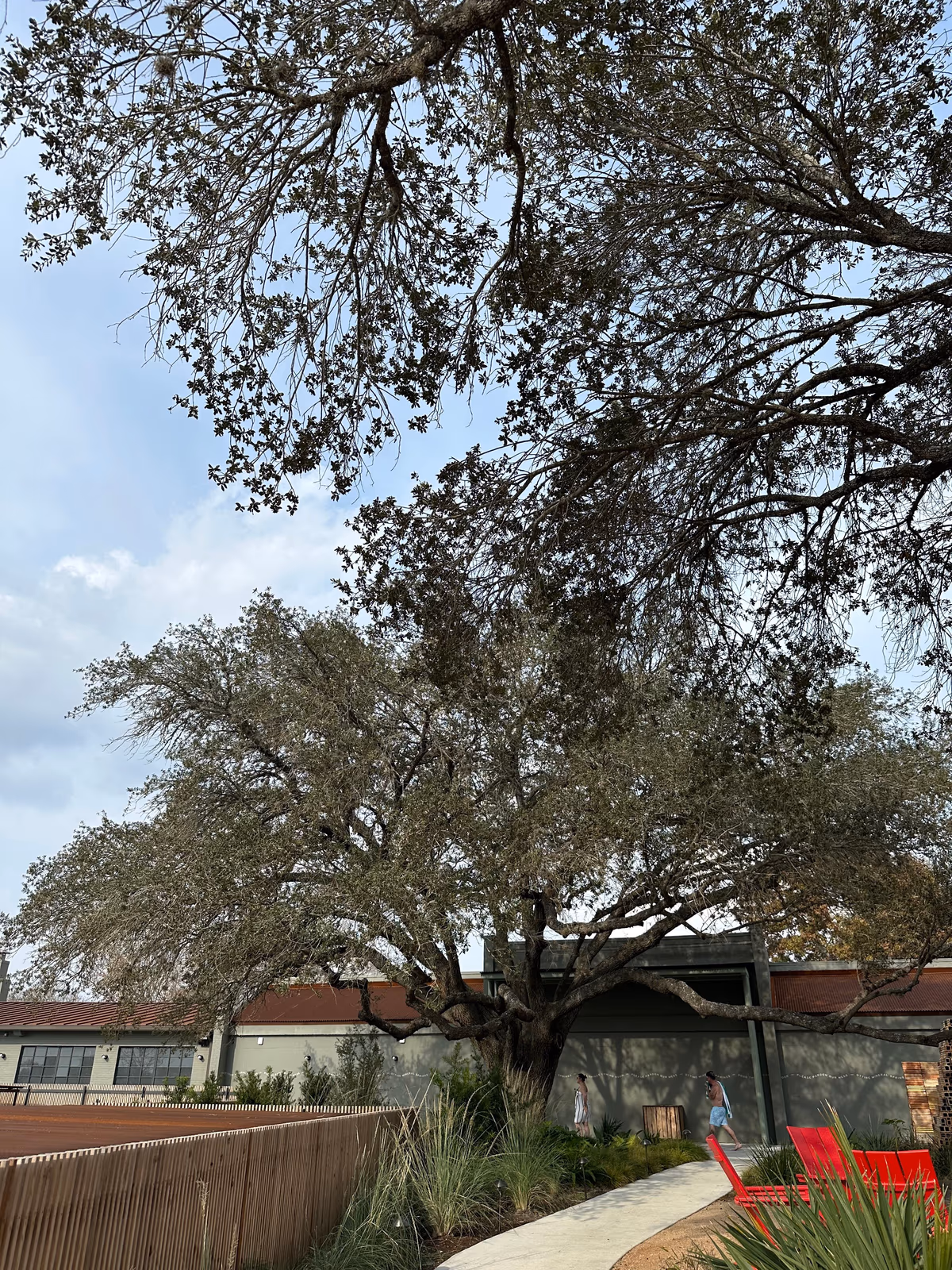 Ottine Mineral Springs