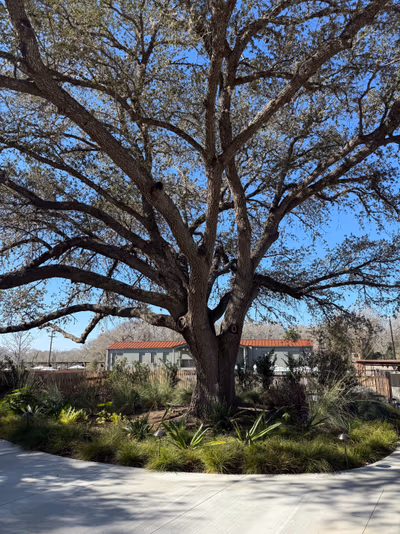 Ottine Mineral Springs — photo 34