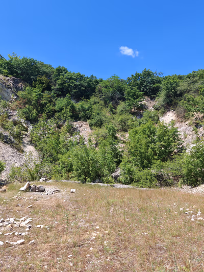 Csolnoki kőbánya — photo 19