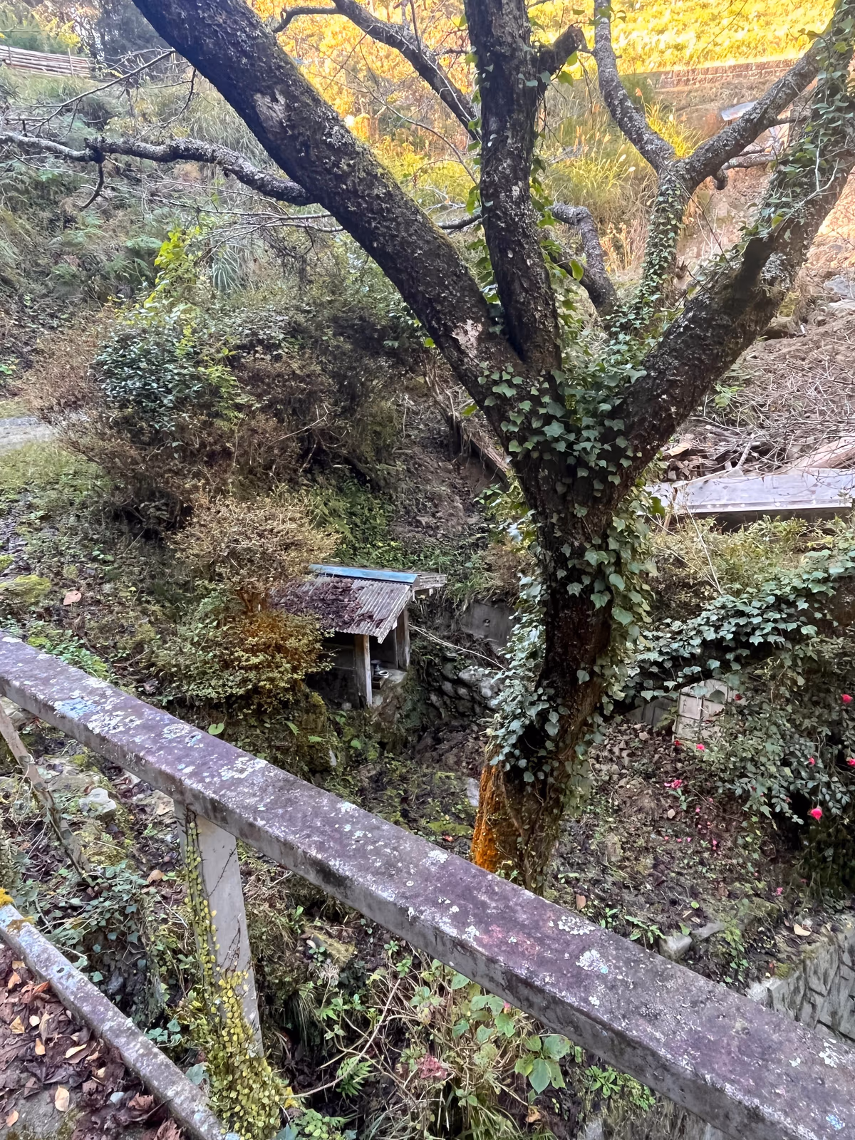 湯沢冷泉