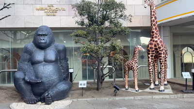 Maholova Minds Miura TOKYO BAY — photo 03