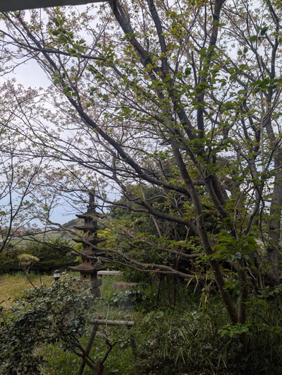 Taki Ichijiku Hot Spring — photo 02