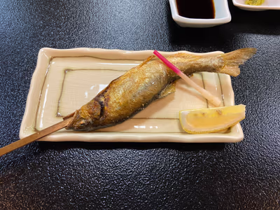 Hotel Hotaka — photo 18