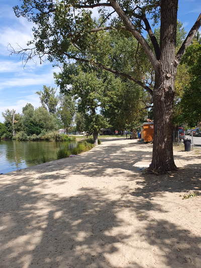 Lake beach — photo 17