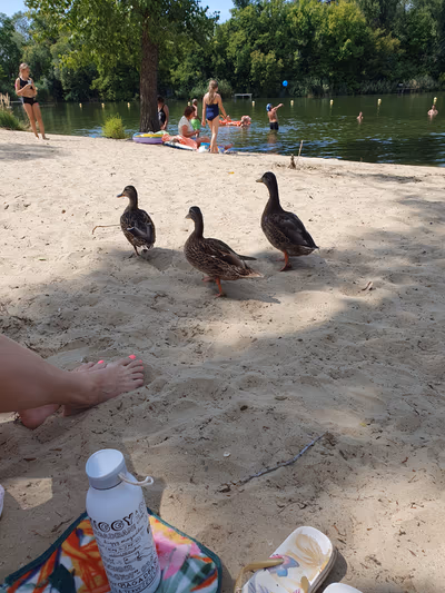 Lake beach — photo 18