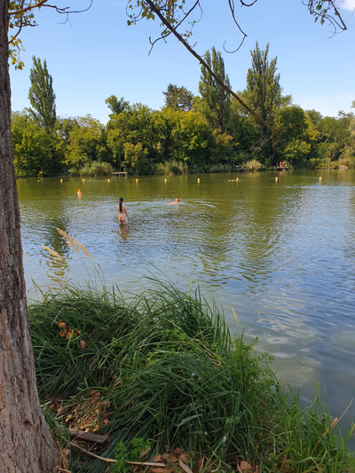 Lake beach — photo 19